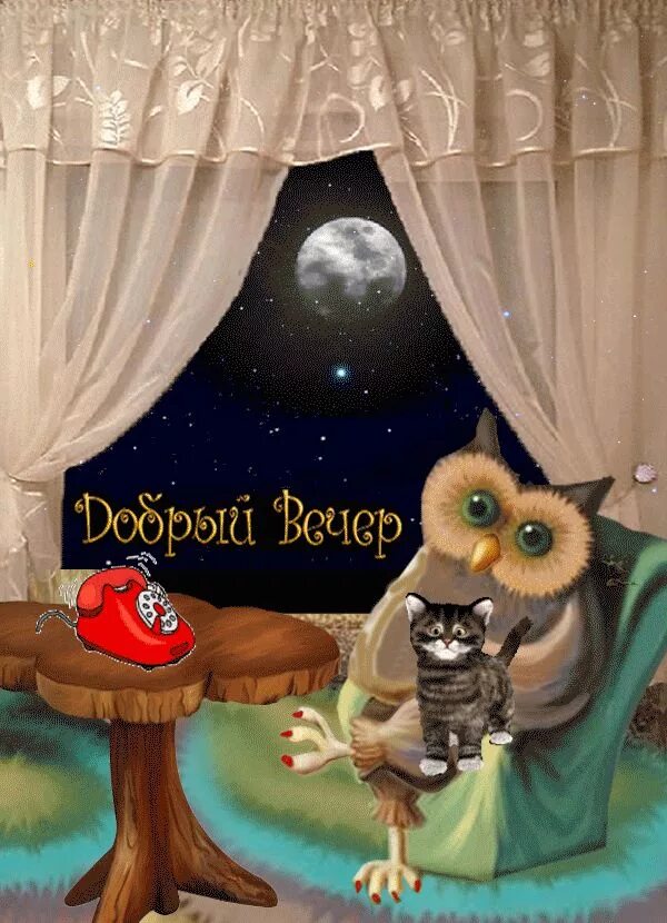 Картинки хороший вечер позитивный спокойной ночи Добый вечер! Nighty night, Good night, Owl cat