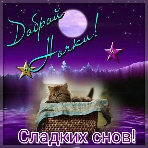 Картинки хороший вечер позитивный спокойной ночи Пин от пользователя Людмила на доске Доброй ночи Спокойной ночи, Ночь, Открытки