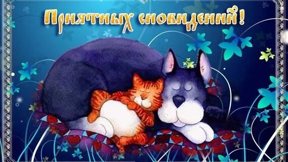 Картинки хороший вечер позитивный спокойной ночи Goodnight friends ! 2022 Варюша помогает особым деткам !!! VK