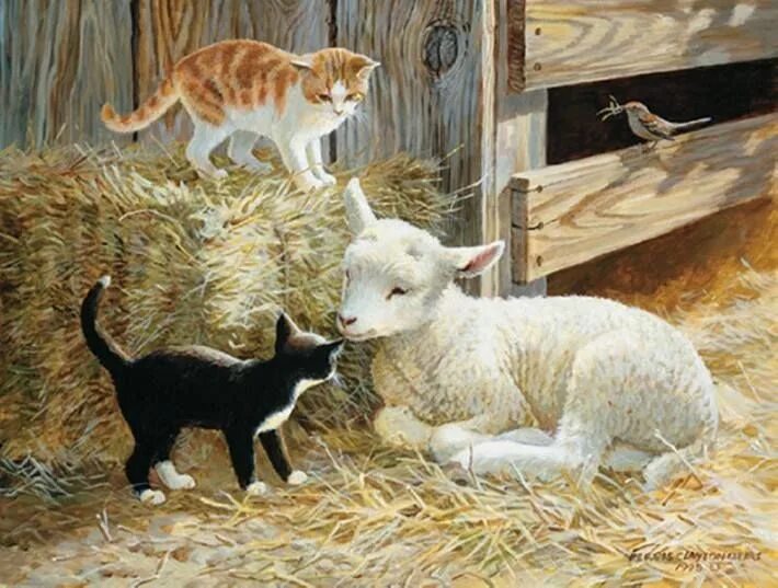 Картинки художников животные Just Beauty - Timeline Photos Cats illustration, Cute animal pictures, Cat sketc