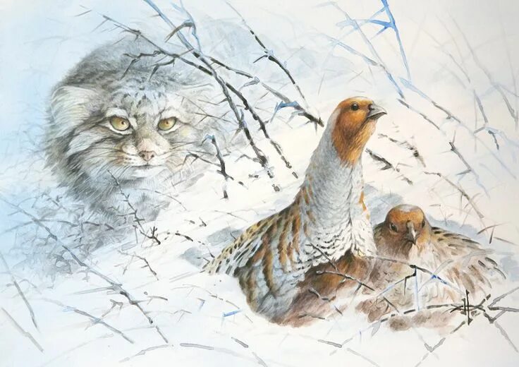 Картинки художников животные Pin by Ирина Ершова on Александр Дегтев Animal paintings, Animals artwork, Wildl