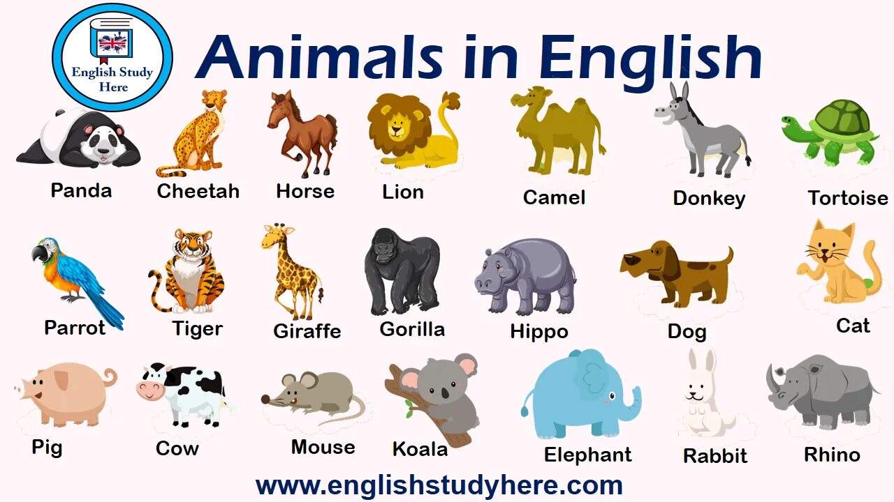 Картинки и имена животных English Animals names; Panda Hippo Gorilla Giraffe Tiger Cheetah Horse Lion Came
