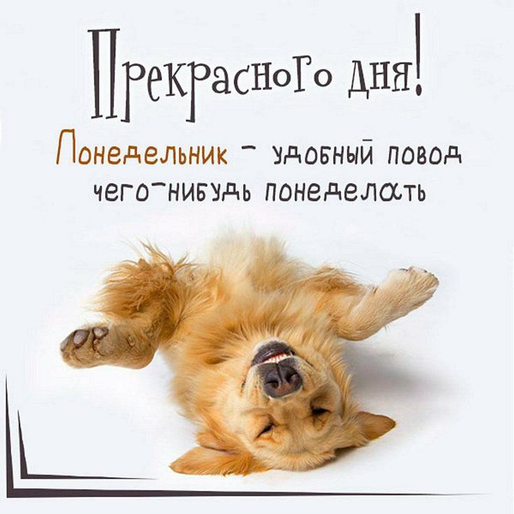 Картинки и снова утро понедельник прикольные открытки