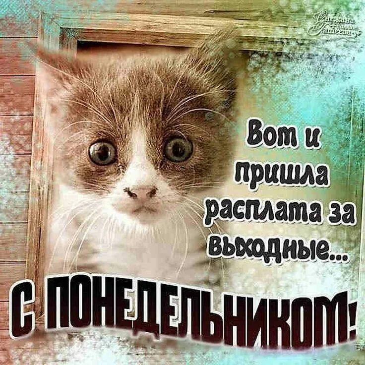 Картинки и снова утро понедельник прикольные Ответы Mail.ru: Отчего Вы туго соображаете, ведь сегодня всего лишь понедельник?