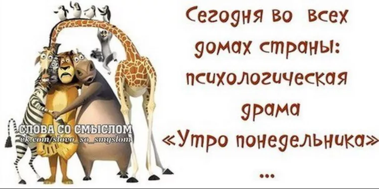 Картинки и снова утро понедельник прикольные ОПЯТЬ ПОНЕДЕЛЬНИК ??? Марина Ника. Возможно Все ! Дзен