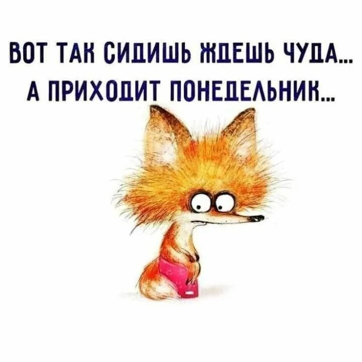 Картинки и снова утро понедельник прикольные Pin on Ваши пины