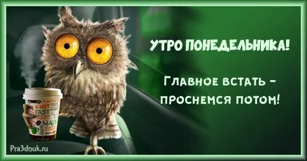 Картинки и снова утро понедельник прикольные Главное встать
