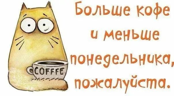 Картинки и снова утро понедельник прикольные Пин на доске orosz в 2024 г Позитивные цитаты, Смешные цитаты, Цитаты