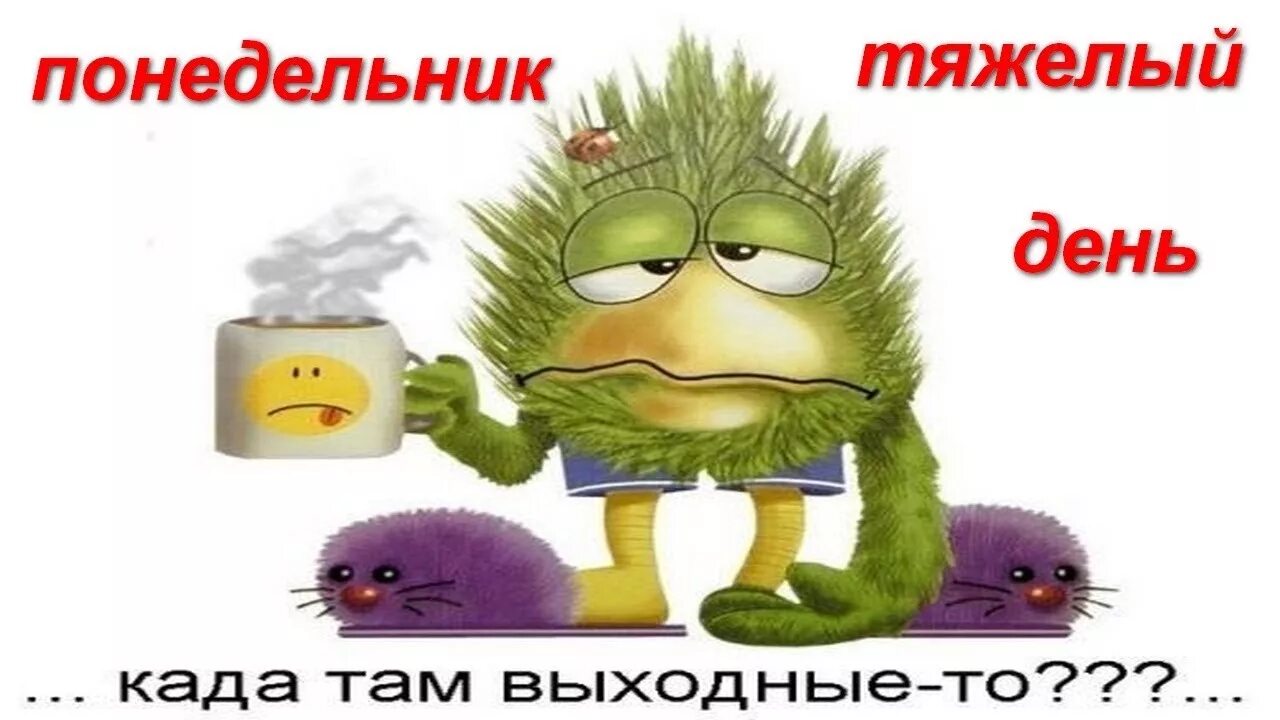 Картинки и снова утро понедельник прикольные VLOG понедельник тяжелый день - YouTube