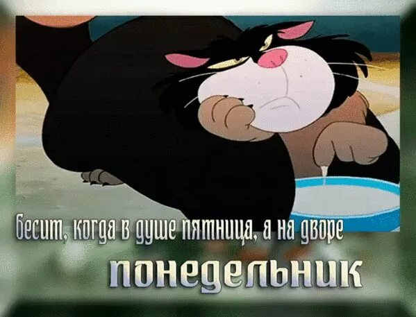 Картинки и снова утро понедельник прикольные Pin op анимашки