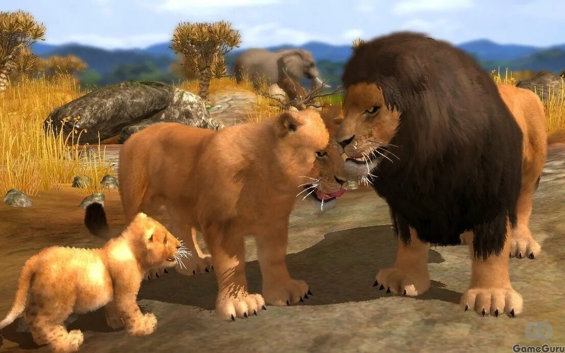 Картинки игр про животных Wildlife Park 3 - скриншоты, картинки и фото из игры, снимки экрана