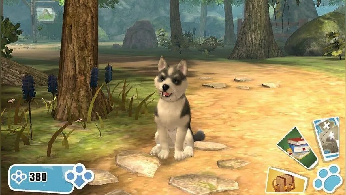 Картинки игр про животных PS Vita Pets - что это за игра, трейлер, системные требования, отзывы и оценки, 