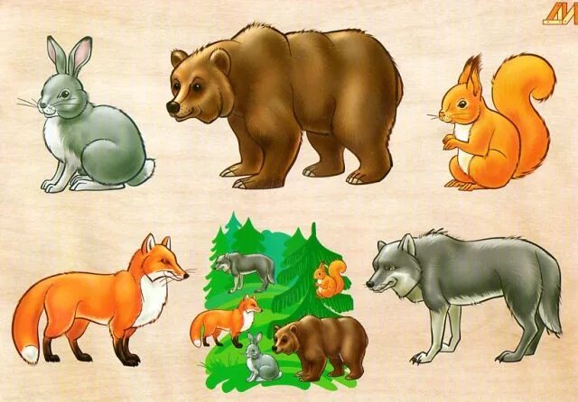 Картинки игры дикие животные Рамка вкладыш животные. Купить рамки вкладыши с животными - Родные игрушки