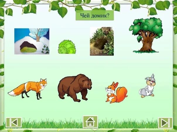 Картинки игры дикие животные Дидактические игры по теме "Дикие животные" 2023 МБДОУ Г. ГОРЛОВКИ № 45 "СОЛНЫШК