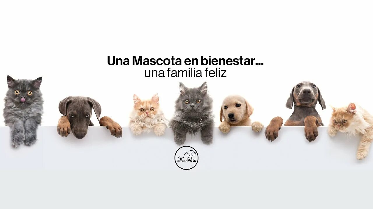 Картинки ищи животных Immunopets "El futuro de tu mascota en tus manos" #Glutatión #Mascotas #Immunoca