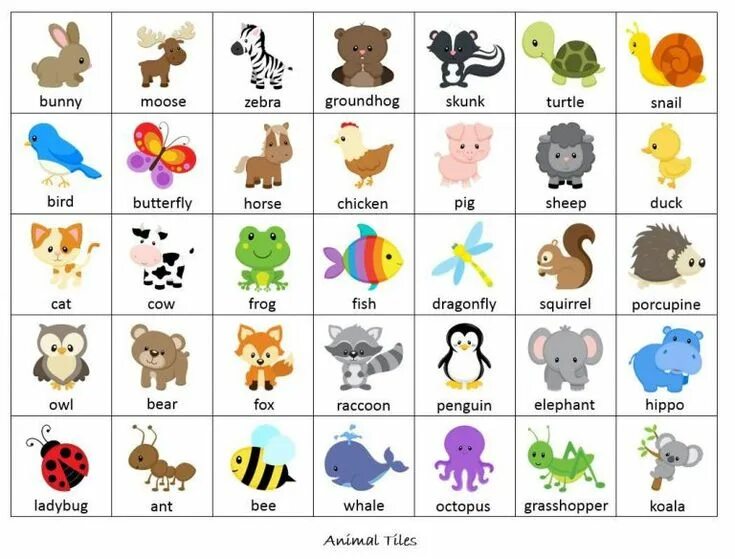 Картинки изучать животных карточки домашние животные Toddler learning activities, Learn japanese, Learning