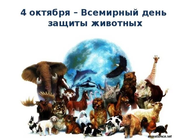 Картинки к дню защиты животных для дошкольников 4 октября - День защиты животных. Презентация "Красная книга Московской области"