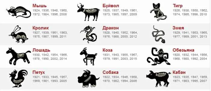 Картинки какого животного года 23 год чей CoffMachines.ru