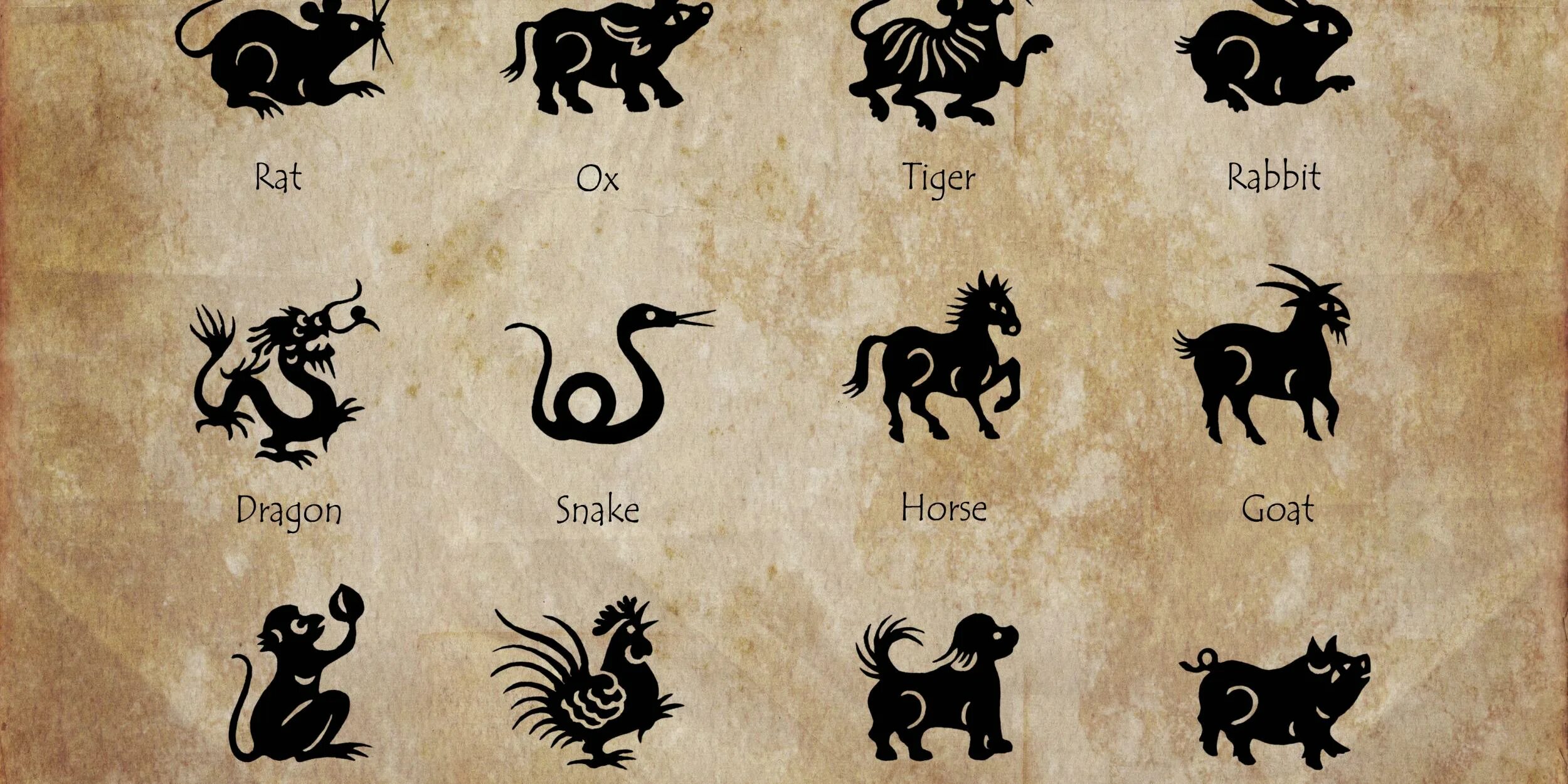 Картинки какого животного года January 14 2011 Chinese Zodiac - Release Date Price Reviews