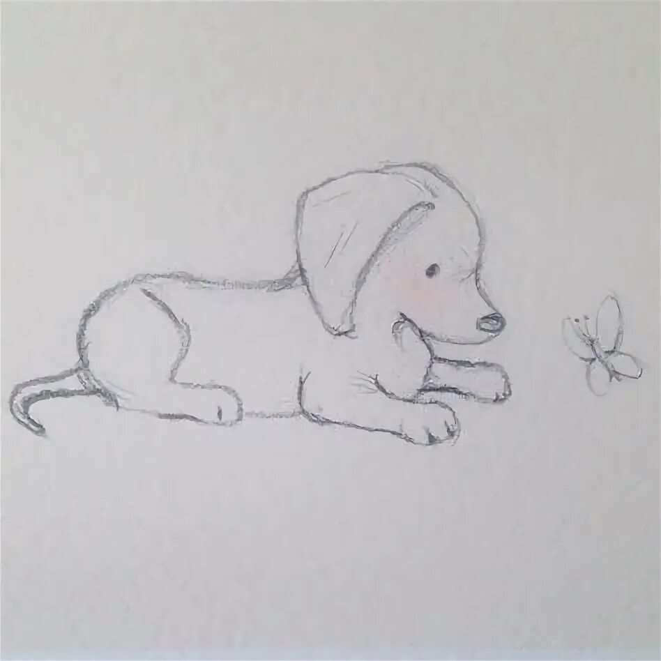 Картинки карандашом животные для детей Creative and Inspiring Dog Drawing Ideas for Artists