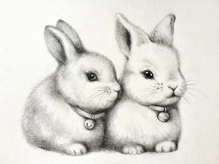 Картинки карандашом животные для детей ORIGINAL Bild Kaninchen Häschen Hasen Illustration Etsy Bunny drawing, Cute anim