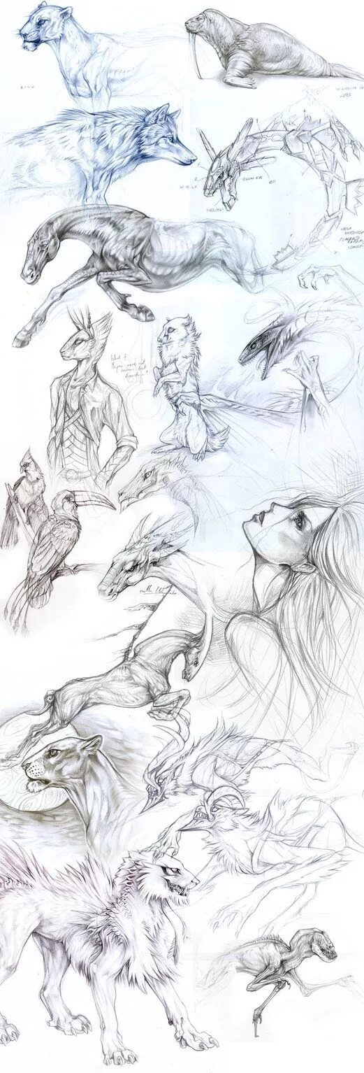 Картинки карандашом животные мистические deviantART: where ART meets application! Character design sketches, Art inspirat