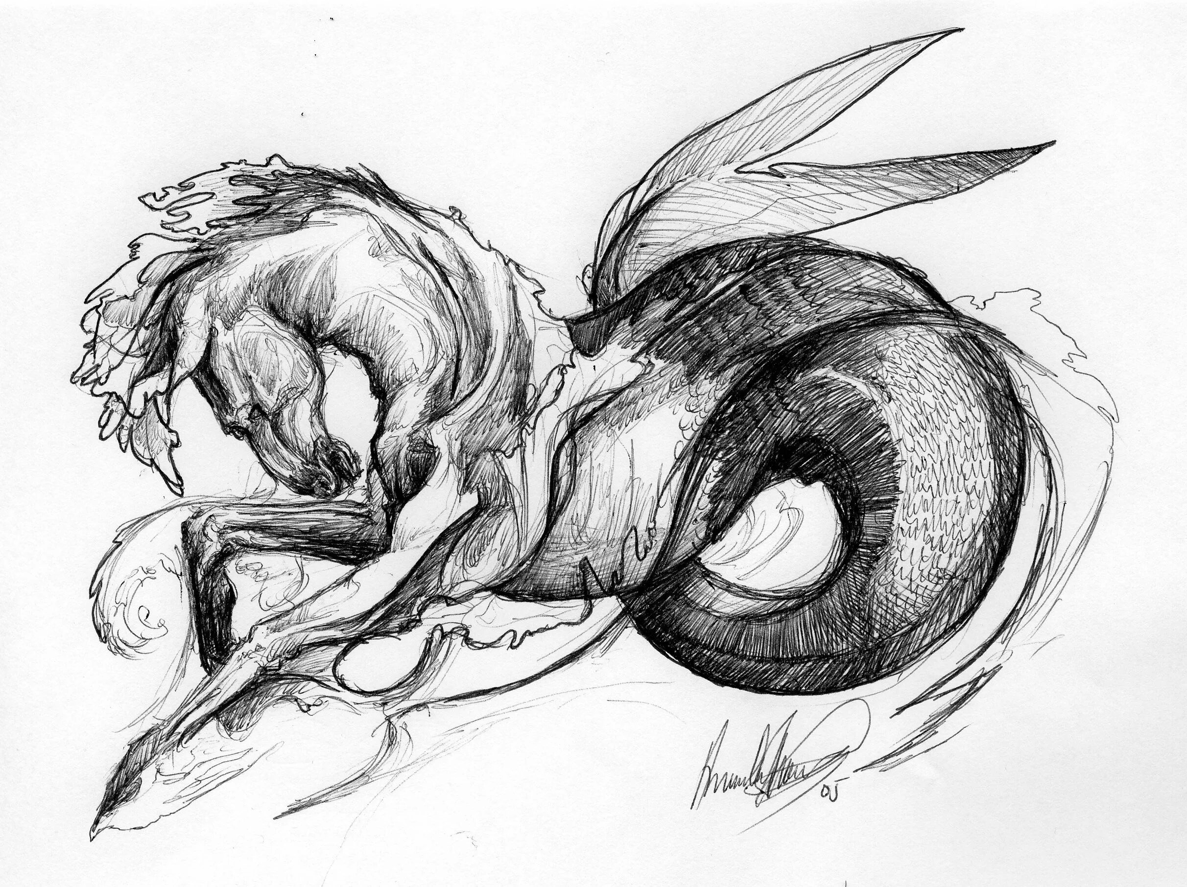 Картинки карандашом животные мистические carolpimsu User Profile DeviantArt in 2024 Horse drawings, Mythological creature