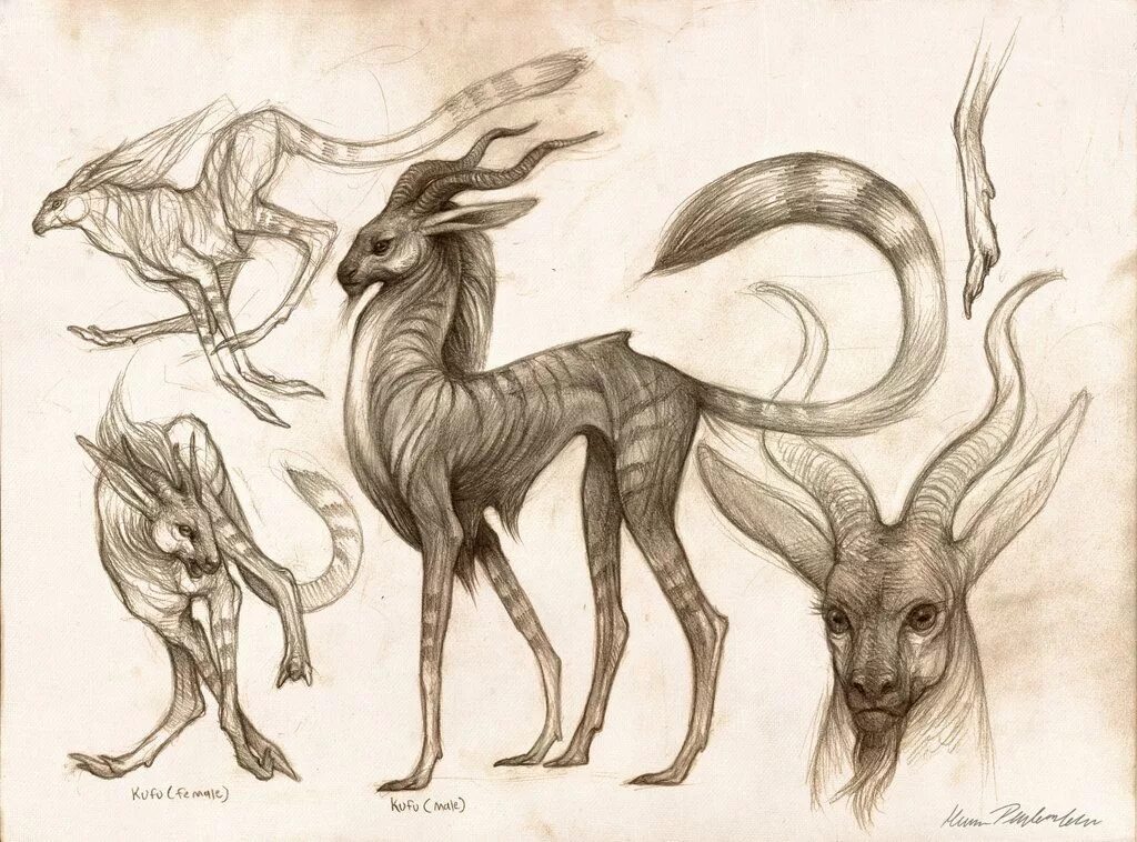 Картинки карандашом животные мистические Kufu Study by KatePfeilschiefter on deviantART Мифические существа, Рисунки, Вол