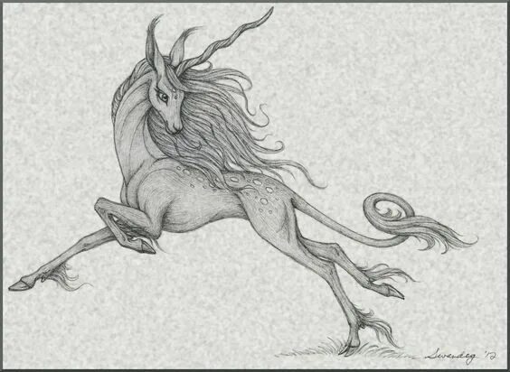 Картинки карандашом животные мистические Pin by Krissy Adams on drawing Unicorn drawing, Unicorn art, Creature art