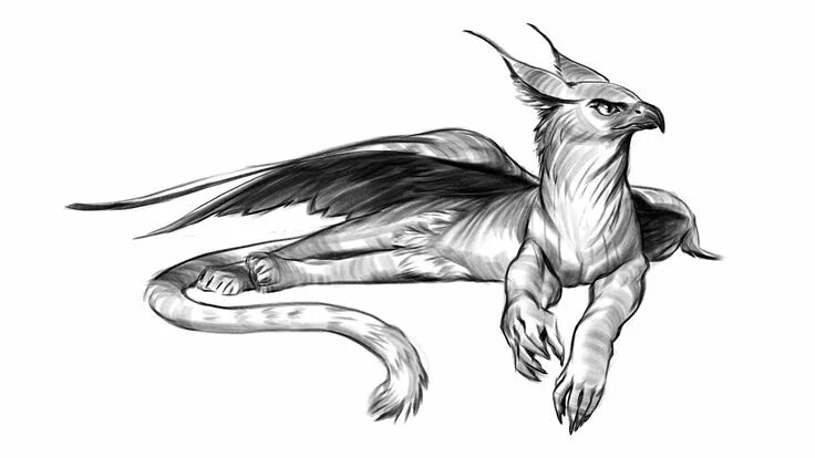 Картинки карандашом животные мистические MAKKON Creature concept art, Creature art, Fantasy beasts