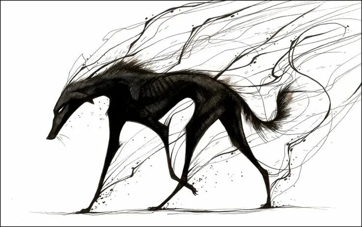 Картинки карандашом животные мистические Raising Shadows by CanisAlbus on deviantART Мифические существа, Иллюстрации арт
