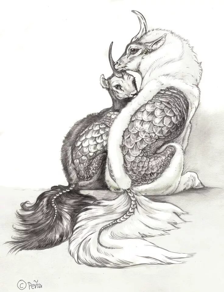 Картинки карандашом животные мистические Windstone Editions Kirin sketch in 2024 Creature art, Creature design, Animal ar