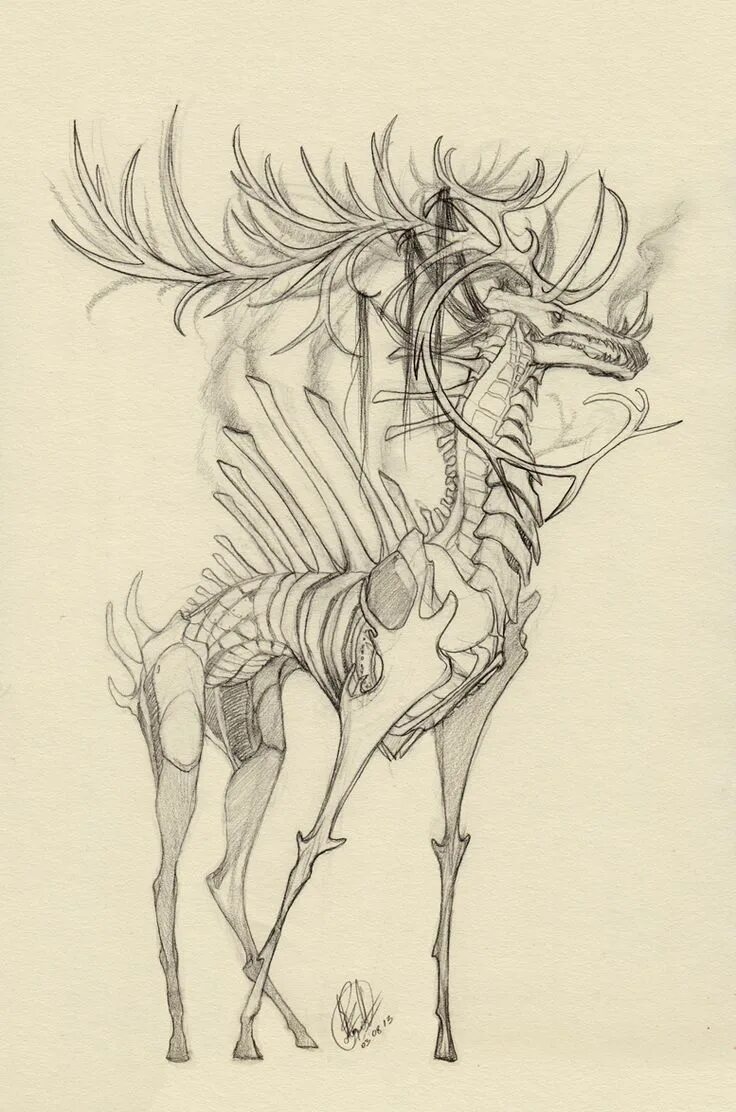Картинки карандашом животные мистические Animal Drawing - 75 Picture Ideas Dibujos, Bocetos artísticos, Dibujos terrorífi