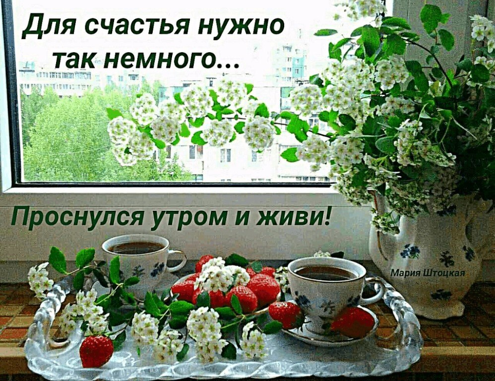 Картинки каждый день доброе утро Каждый день - это дар от Бога... И называется он : ,, Сегодня! " С добрым утром,