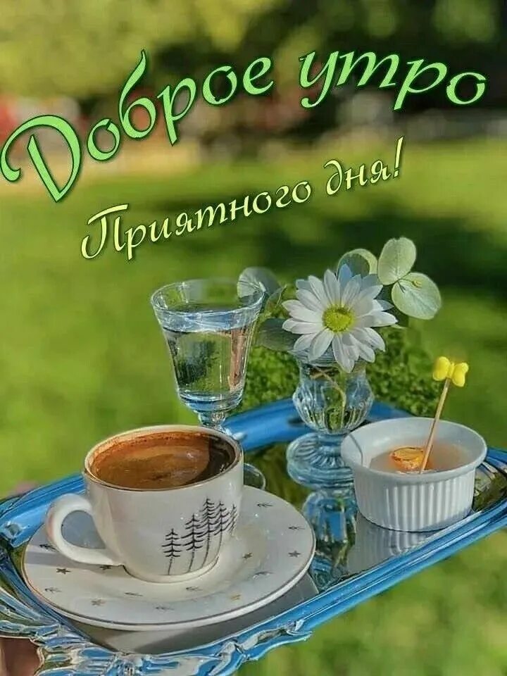 Картинки каждый день доброе утро Pin by OLGA on ДОБРОЕ УТРО Good morning, Glassware, Tableware