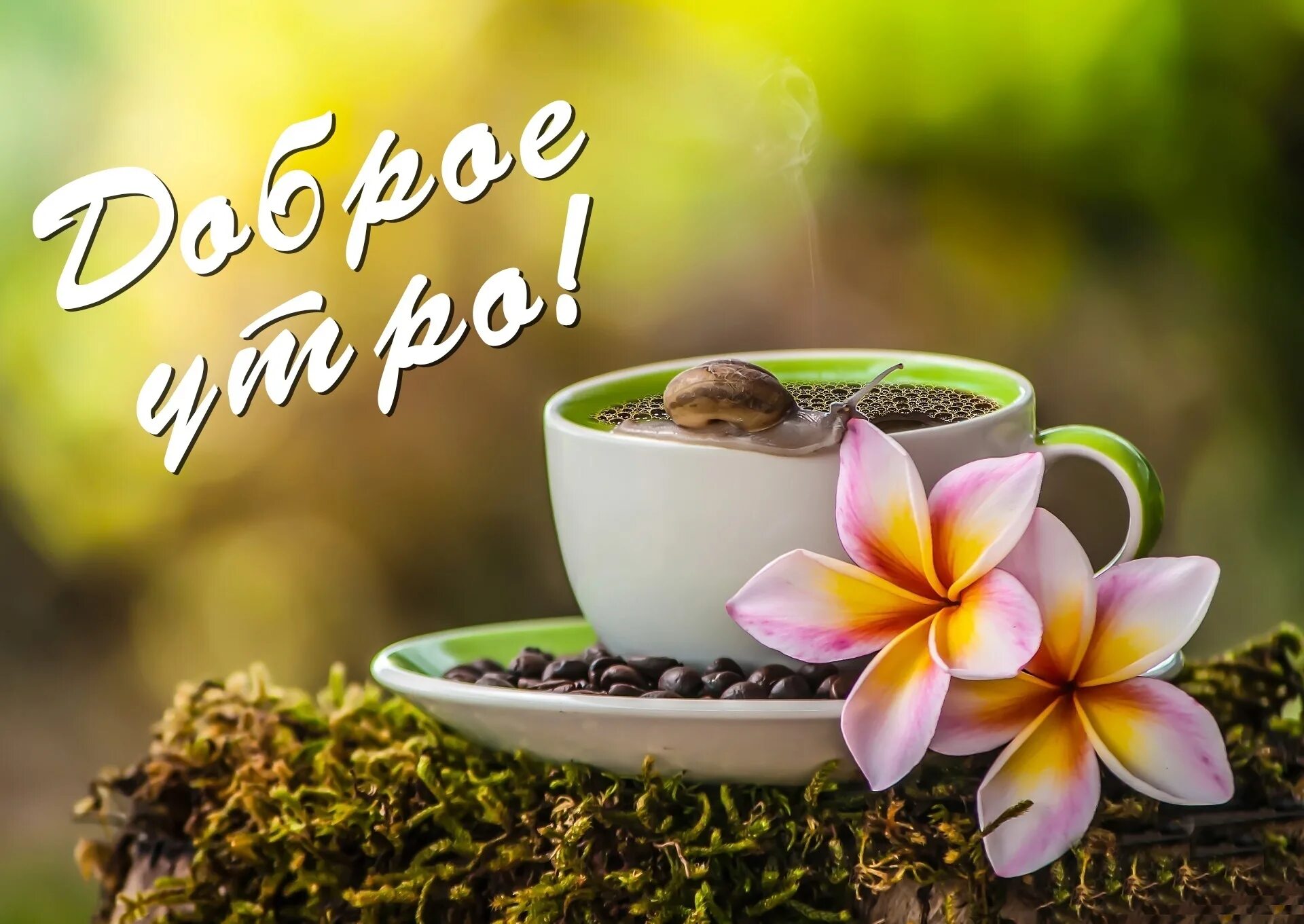 Картинки каждый день доброе утро Ответы Mail.ru: Самый лучший день.) Он уже пришел?