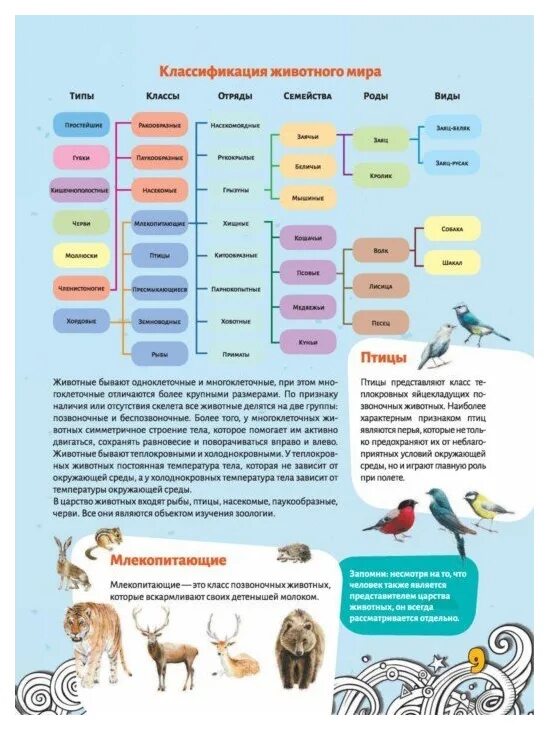 Картинки классификация животных АСТ Большая детская энциклопедия знаний. Большая энциклопедия знаний. Животные -