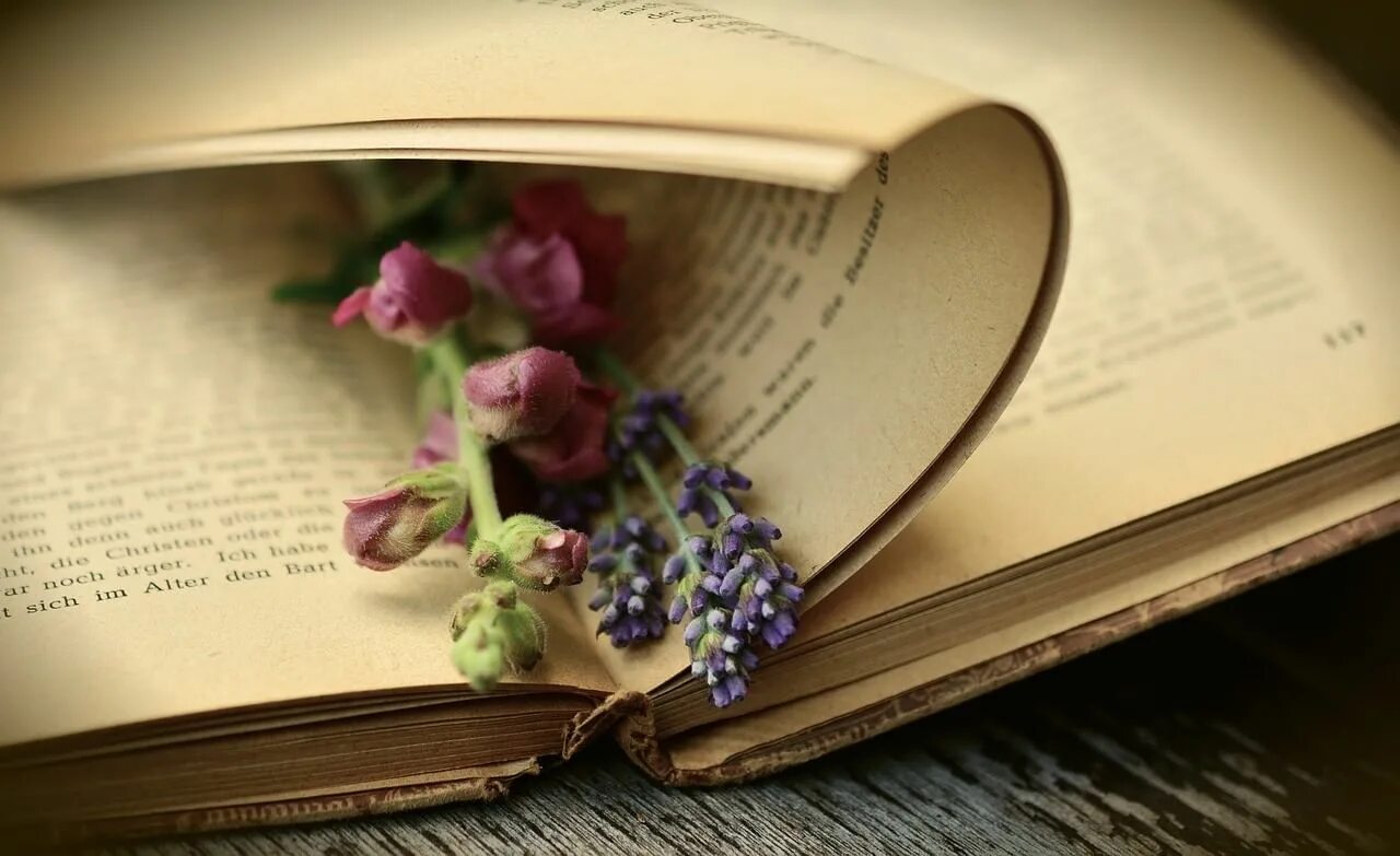 Картинки книги красивые для оформления Книжная выставка "Всей семьей у книжной полки" 2021, Большесельский район - дата