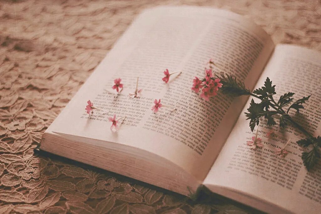 Картинки книги красивые для оформления Книга - родник вдохновения" 2023, Надтеречный район - дата и место проведения, п