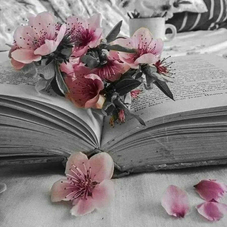 Картинки книги красивые для оформления Удивительной силой обладают книги большого художника. Ты открываешь их, а они - 
