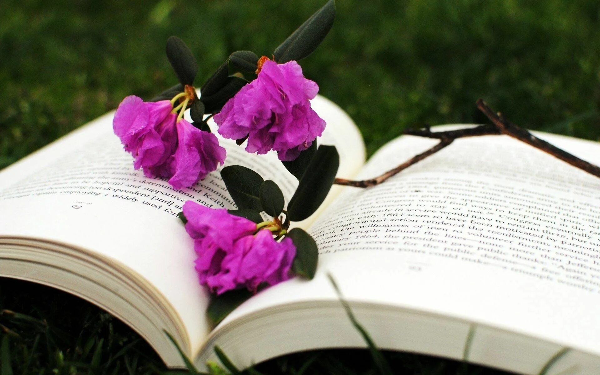 Картинки книги красивые для оформления Книги о войне нам память оставляют" 2023, Курчалоевский район - дата и место про