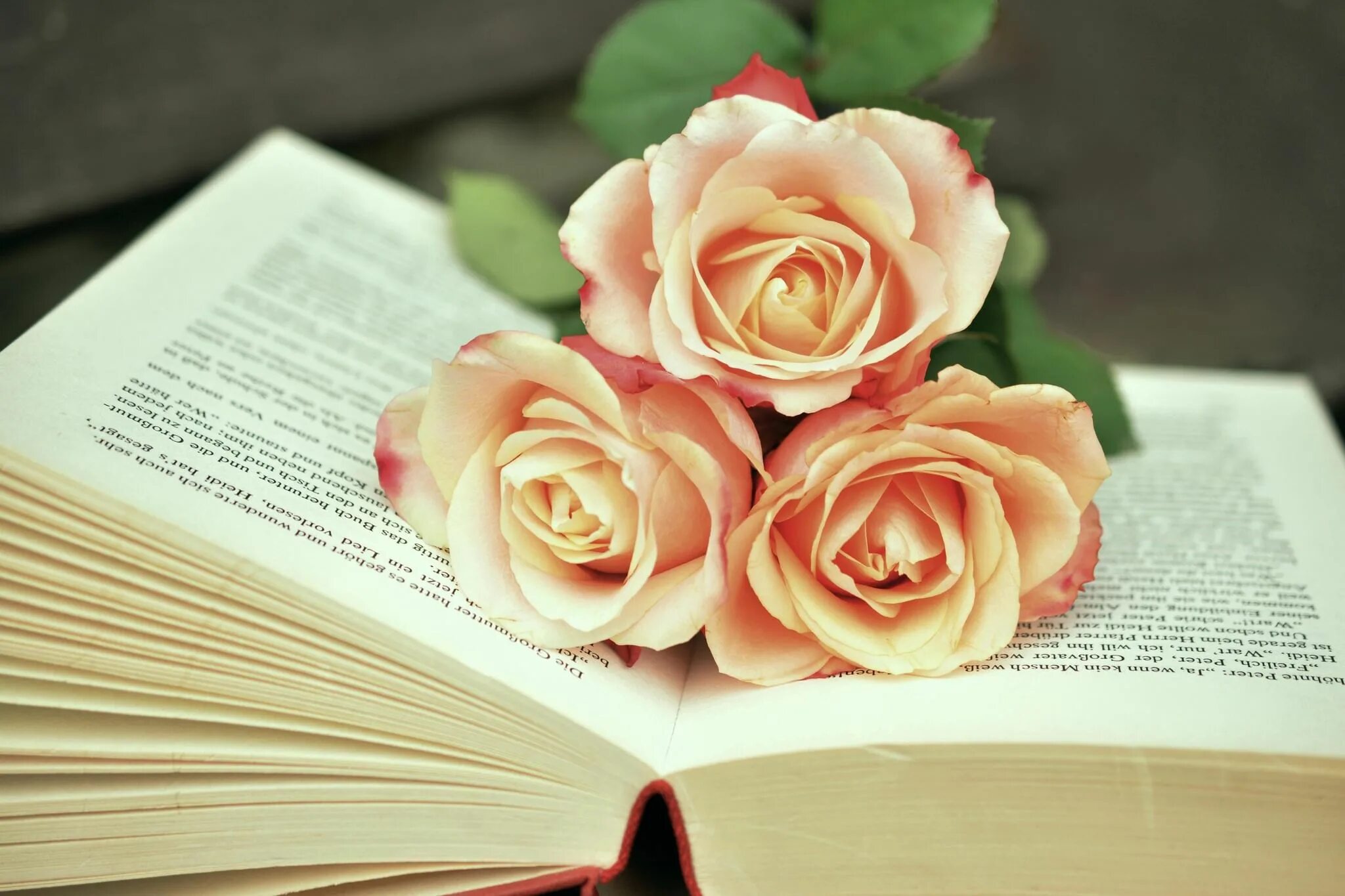 Картинки книги красивые для оформления Книжная выставка "Женская судьба за книжным переплетом" 2022, Гудермесский район
