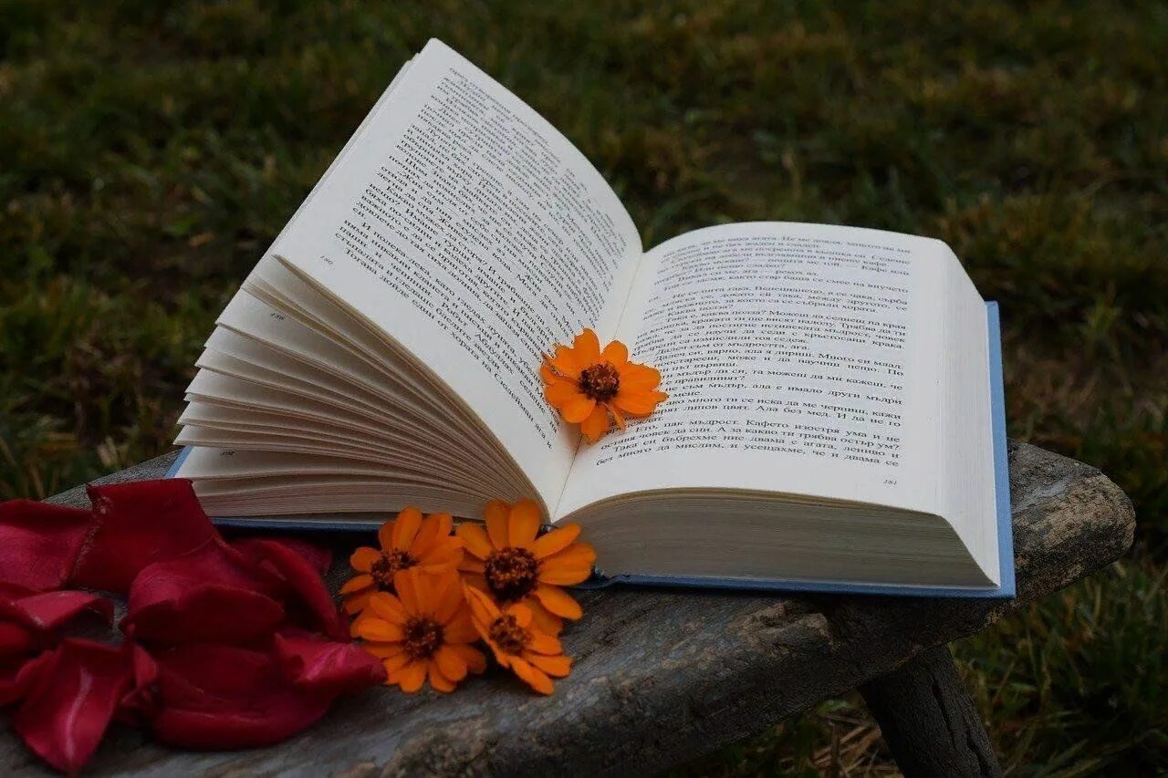 Картинки книги красивые для оформления Литературный марафон: "Поэт души". 2023, Шалинский район - дата и место проведен