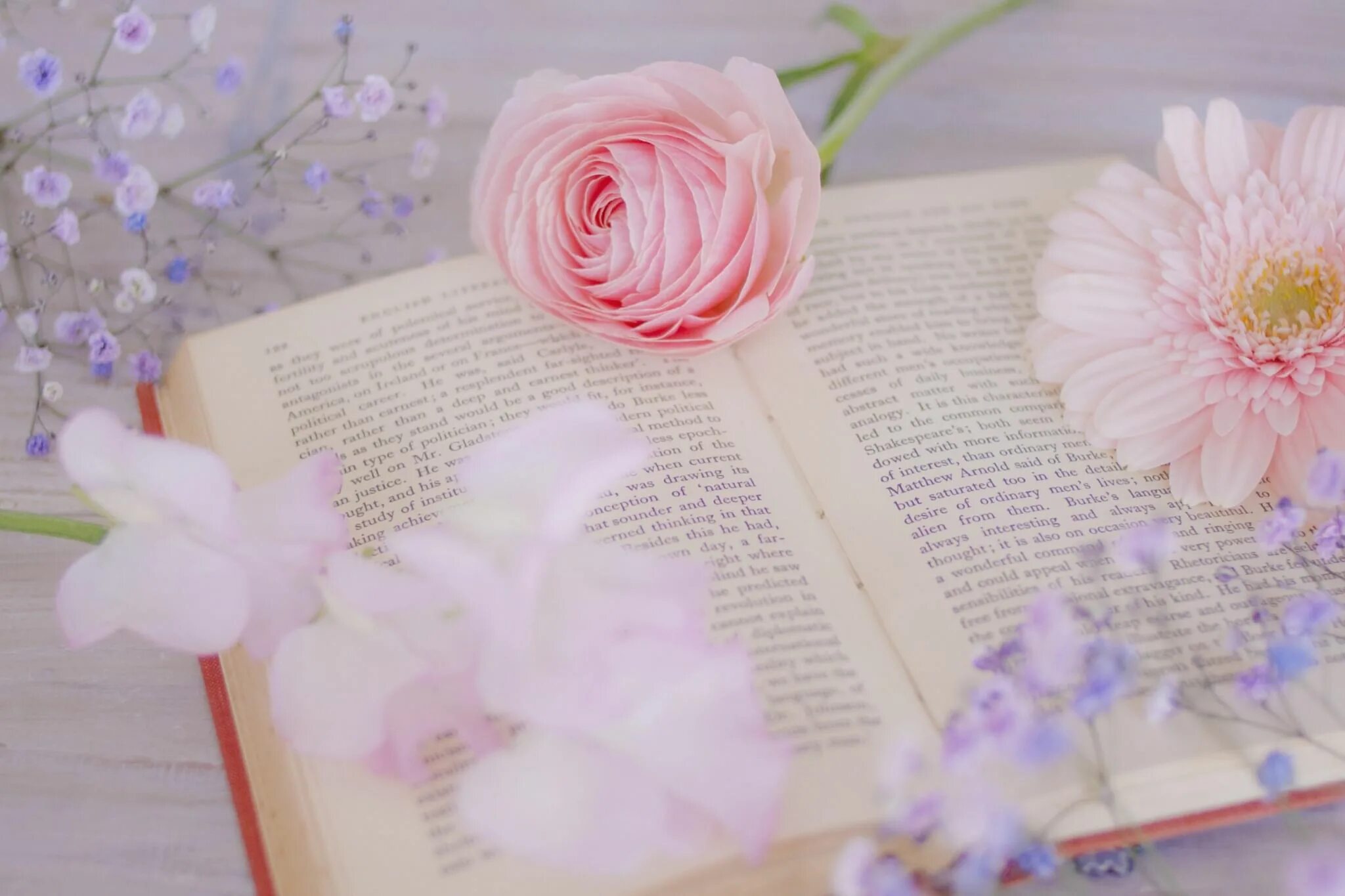 Картинки книги красивые для оформления Книжная выставка "Голубой метеорит Р. Сефа" 2021, Большесельский район - дата и 