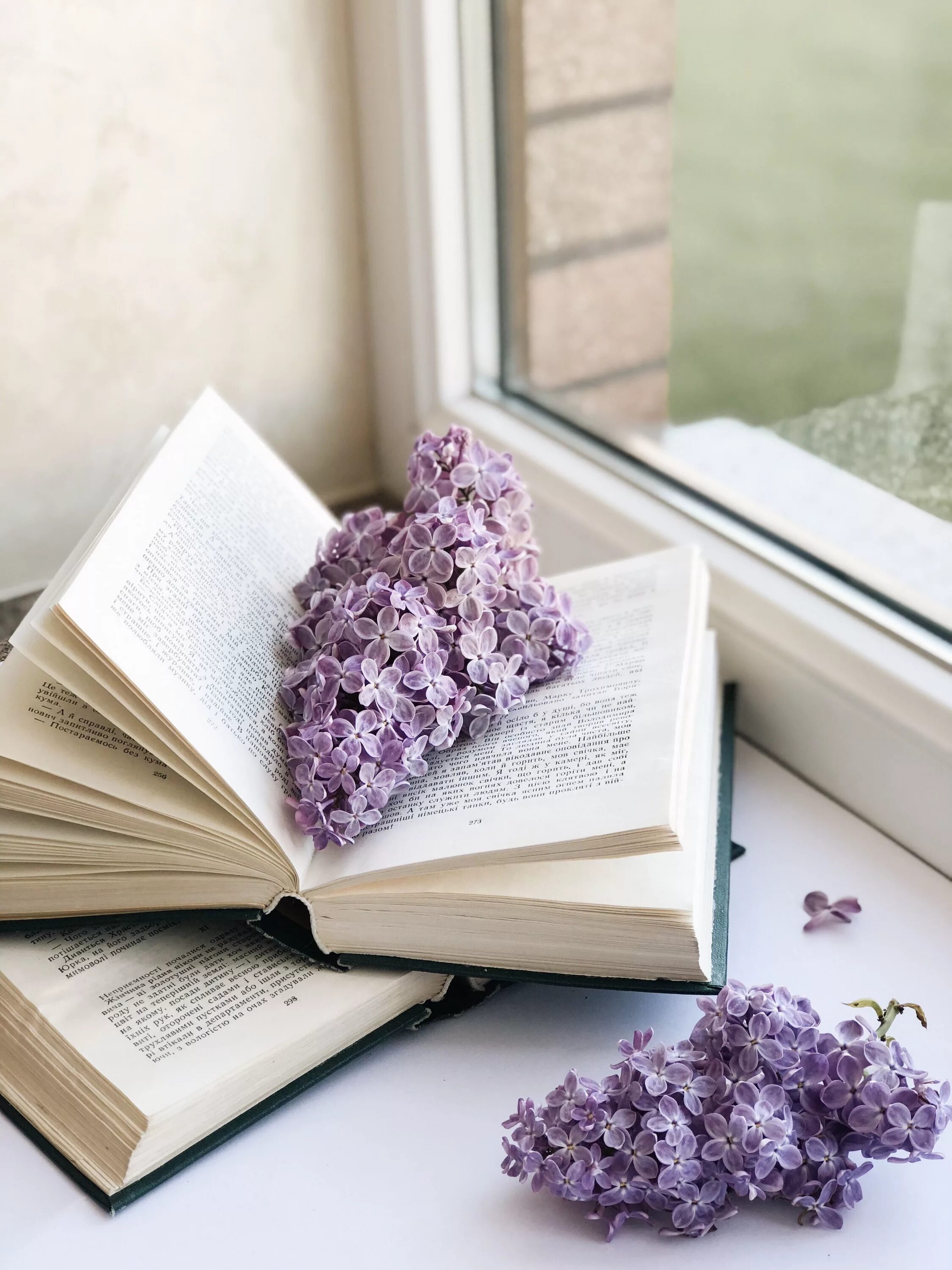 Картинки книги красивые для оформления Books #books #lilac #flatlay #instaphoto #springflowers #flowers Сирень, Вдохнов