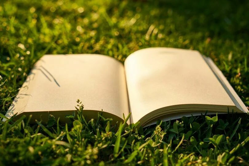 Картинки книги красивые для оформления Программа "Литературный марафон по книгам-юбилярам" 2020, Яковлевский район - да