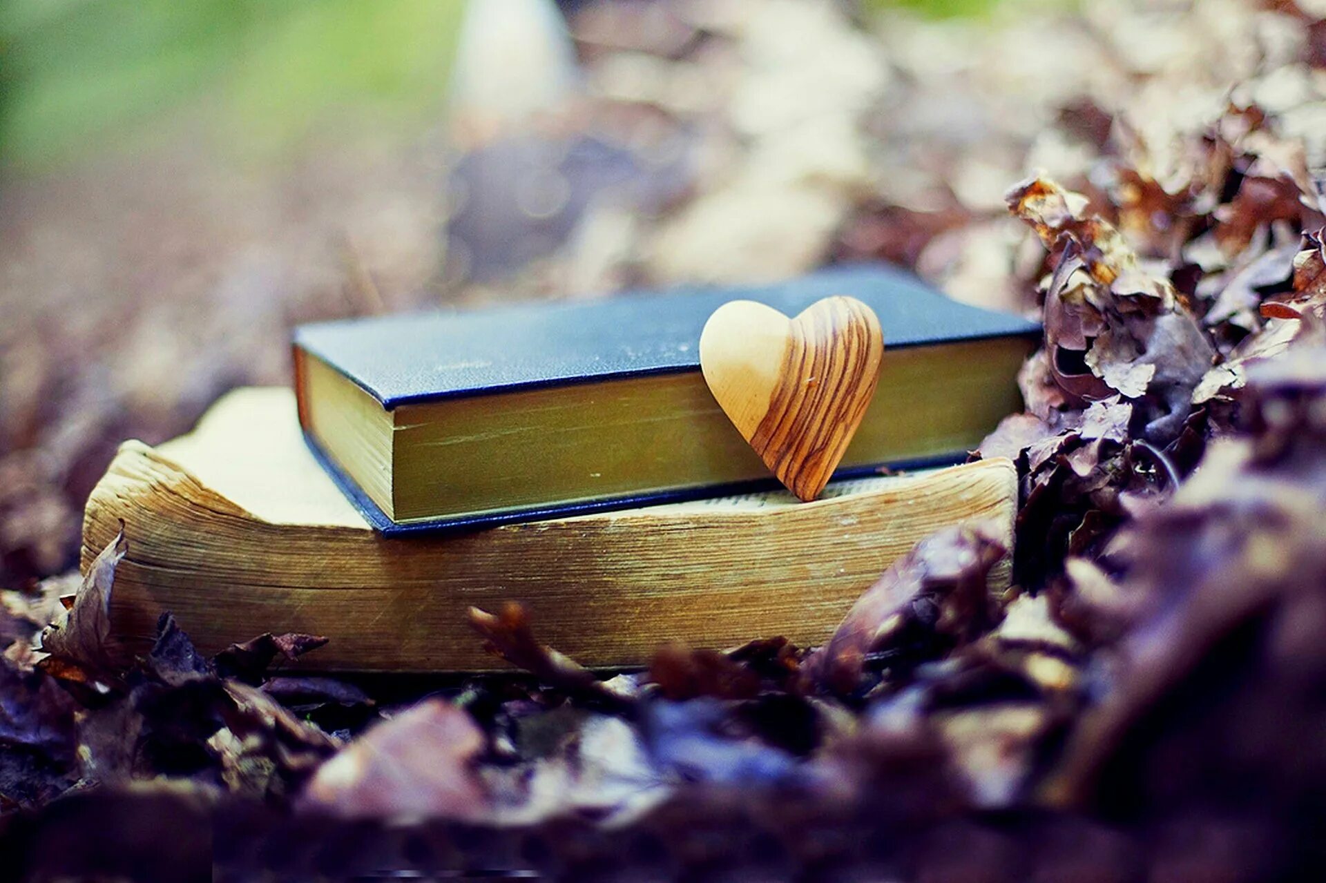 Картинки книги красивые для оформления Великолепные книги литературной экспедиции