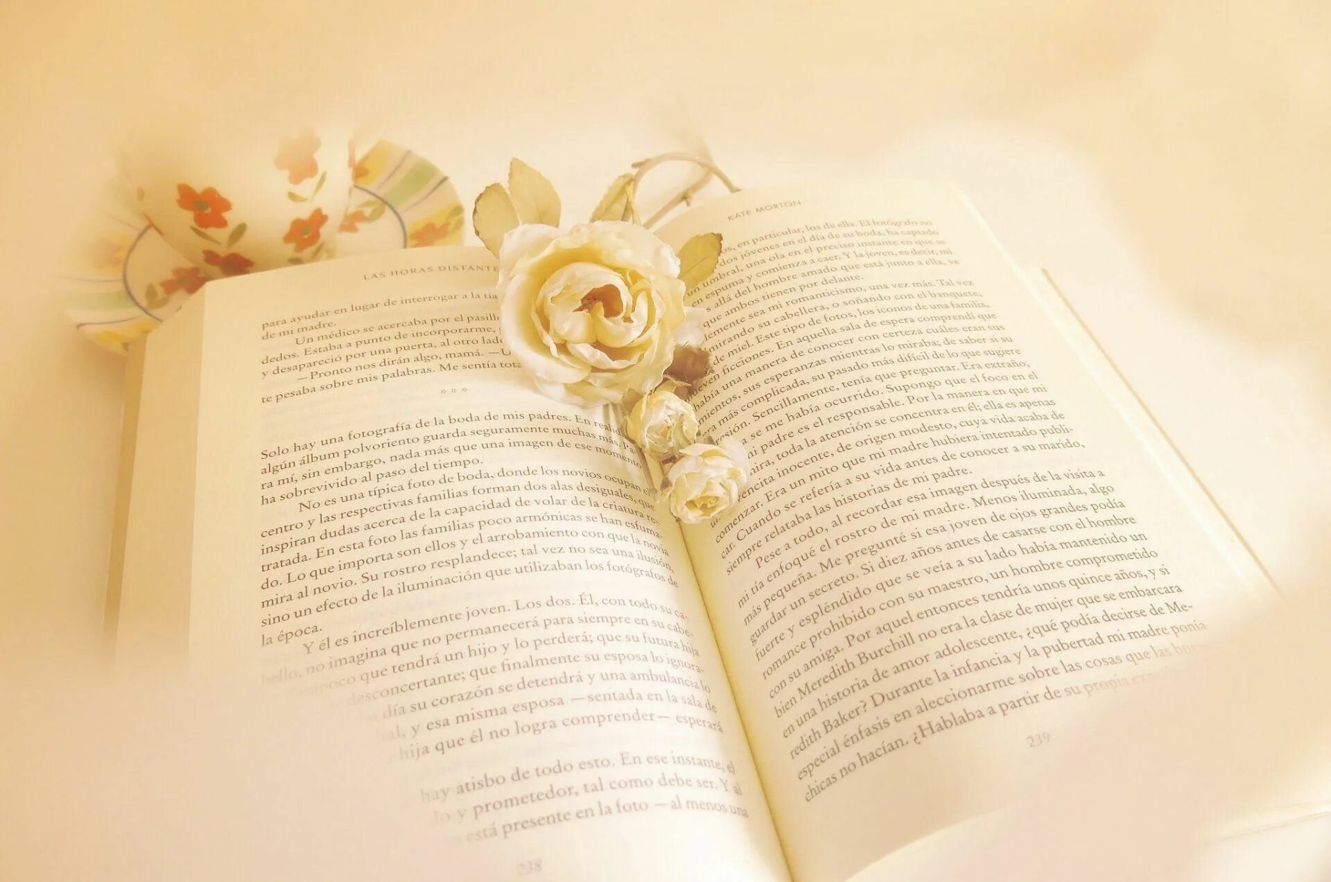 Картинки книги красивые для оформления Книжная выставка "Дорогами жизни" 2021, Курчалоевский район - дата и место прове