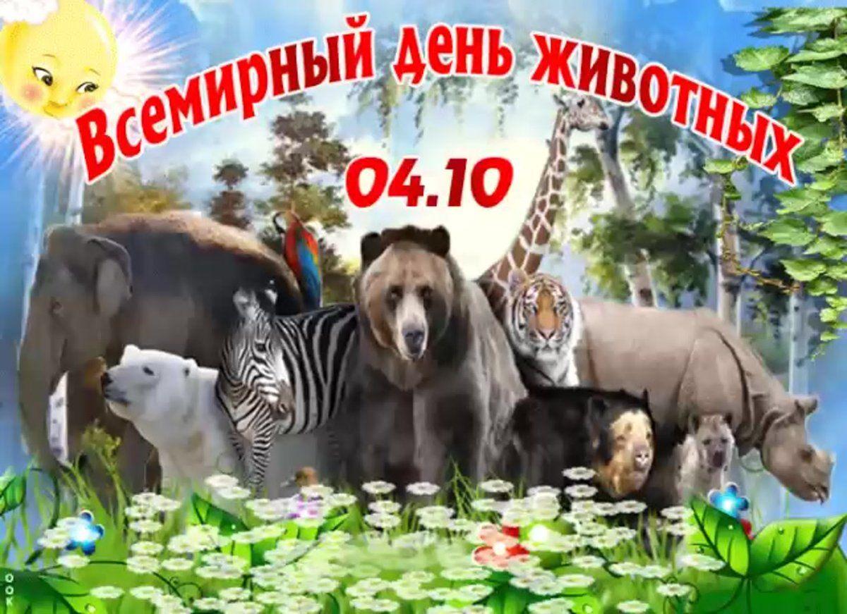 Картинки ко дню защиты животных 4 Всемирный день защиты животных - Культурный мир Башкортостана
