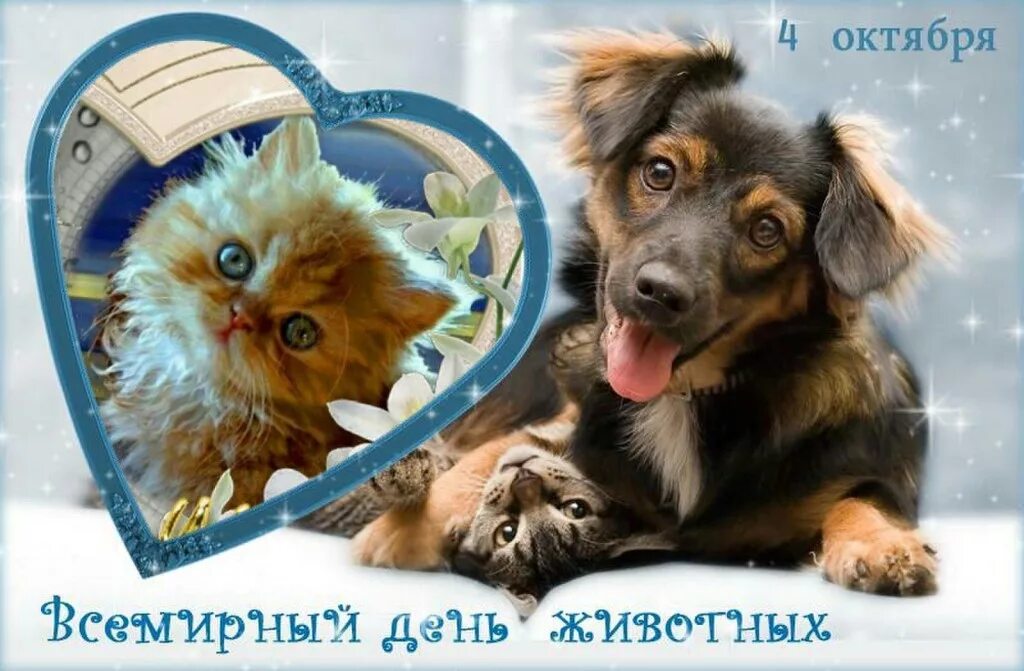 Картинки ко дню защиты животных 4 Новости